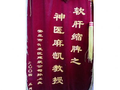 点击查看详细信息<br>标题：锦旗 阅读次数：2155