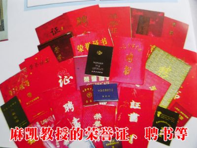 点击查看详细信息<br>标题：麻凯教授的荣誉证、聘书等 阅读次数：4201